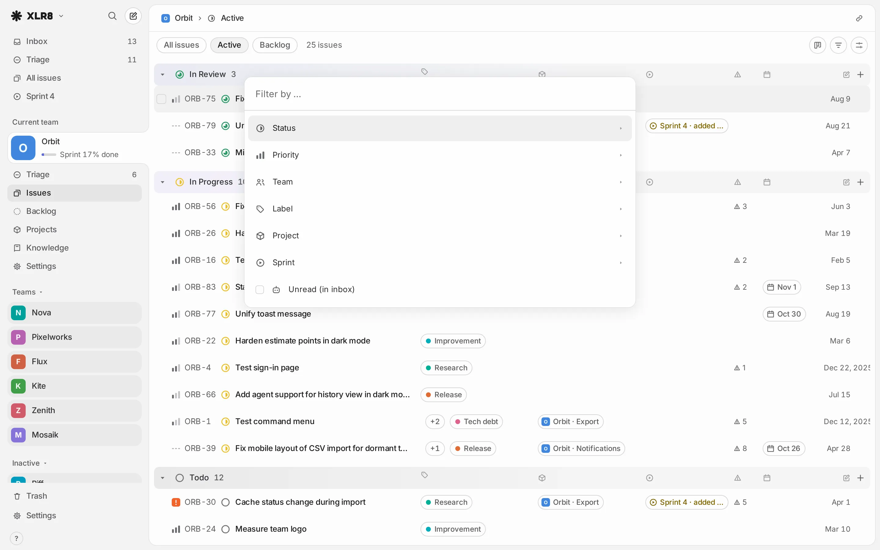 The filter menu over an issue list, with the fields Status, Priority, Team, Label, Project and Sprint, and the Unread (in inbox) checkbox
